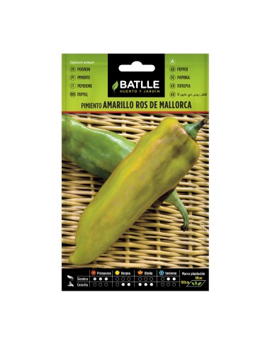 Semilla pimiento amarillo ros de Mallorca
