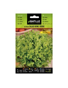 Llavor enciam Salad Bowl verd