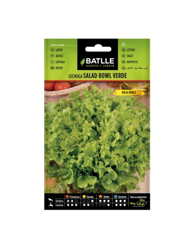 Semilla lechuga Salad Bowl verde