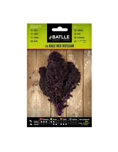 Llavor col kale red russian
