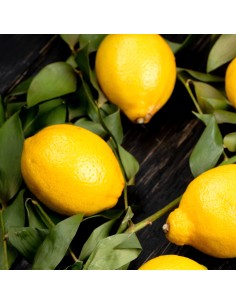 Citronnier 4 saisons