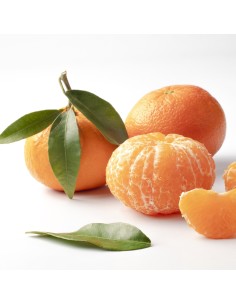 Compre mandarim em Germigarden