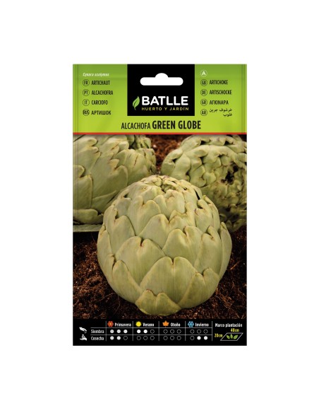 Graine d'artichaut Green Globe