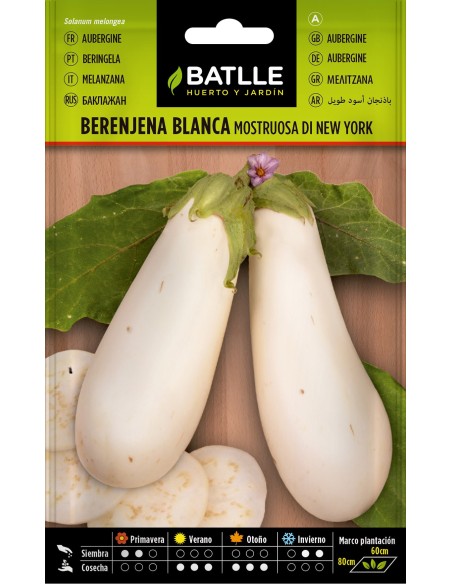 Graine de aubergine blanc monstrueux di new york