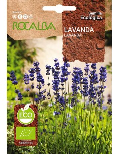 Llavor Espígol (ecològica)