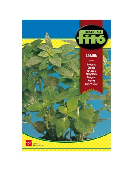 Oregano en semilla