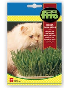 Acheter de l'herbe à chat