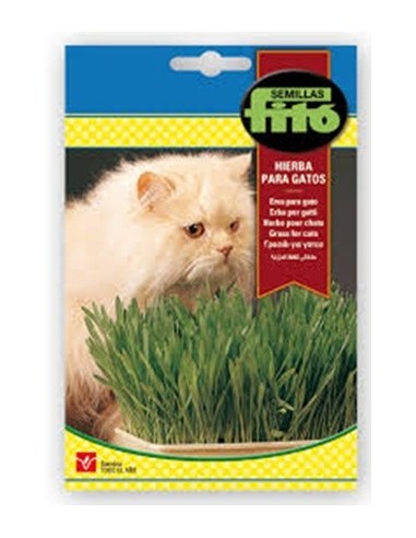 Acheter de l'herbe à chat