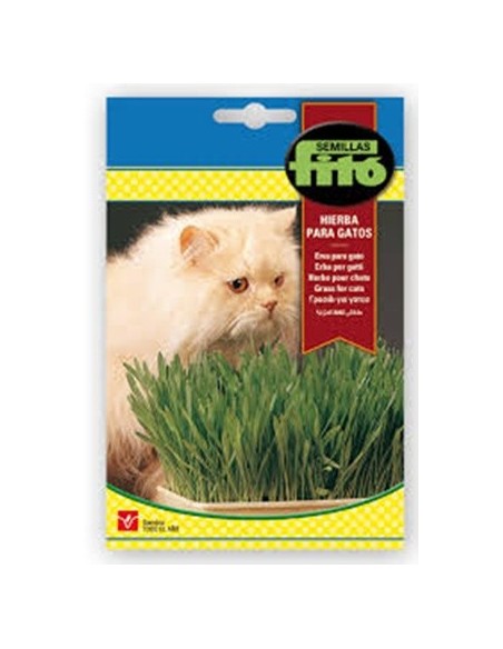 Acheter de l'herbe à chat