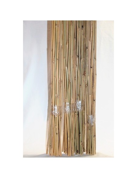 Compre Varetas (25 unidades) em Germigarden
