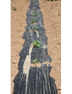 Plàstic negre antigerminant per hort 2