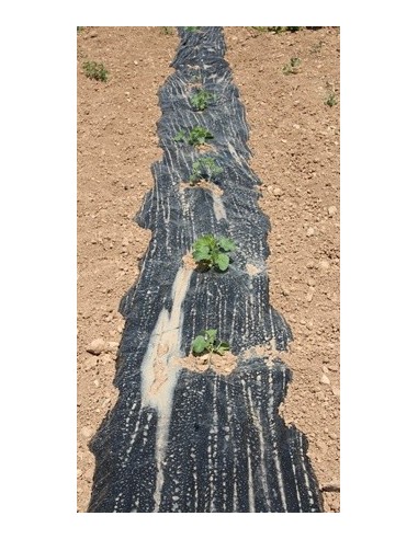 Plàstic negre antigerminant per hort