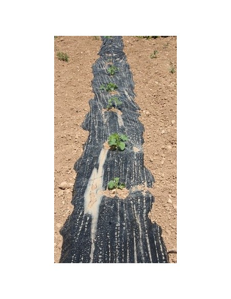 Plàstic negre antigerminant per hort
