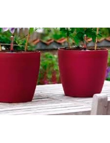 Achetez un pot auto-arrosant à partir de 19,95€ chez Germigarden