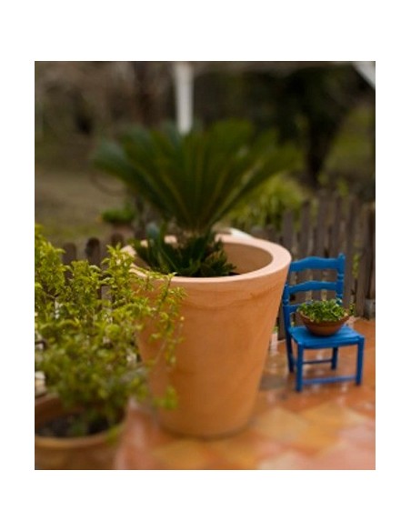 Pot en résine de tournesol