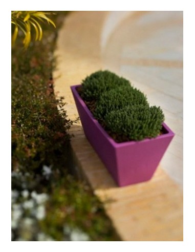 Jardinera de resina Jazmín