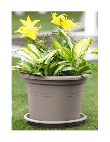 Pot en plastique Iniezione
