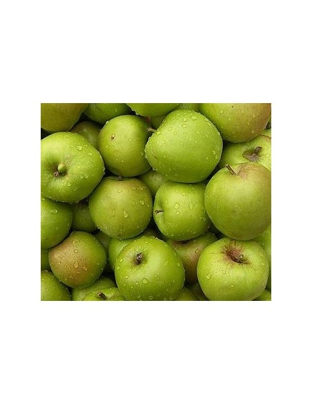 Manzano Granny Smith por 17.95€ en Germigarden