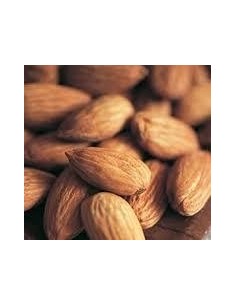 Amandier largueta de 2 ans à 17,95€ chez Germigarden
