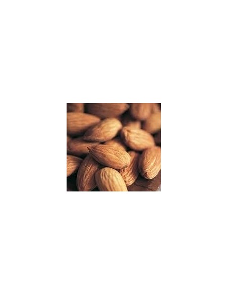 Amandier largueta de 2 ans à 17,95€ chez Germigarden