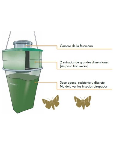 Piège à mouches processionnaires