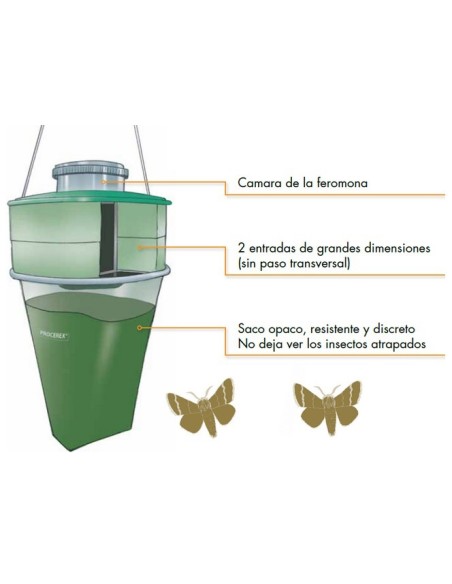 Piège à mouches processionnaires
