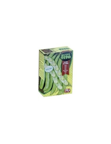 Graine de Féve Claro de Luna Extra Précoce.