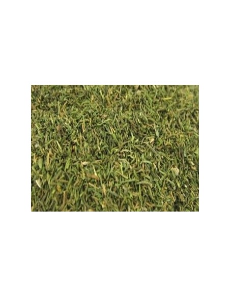Eneldo seco