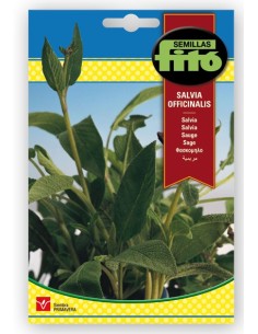Semente de sálvia em Germigarden