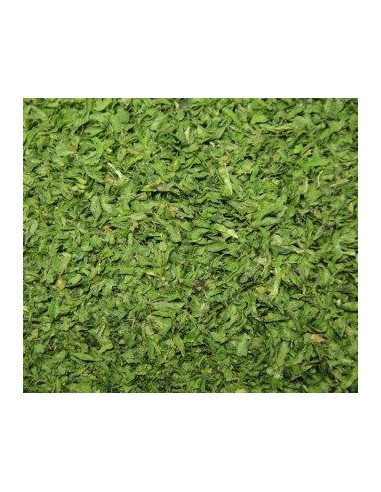 feuille de persil