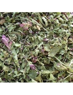 feuille d'origan