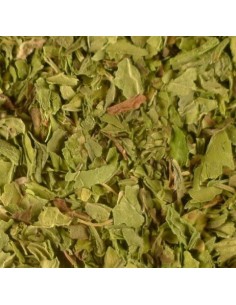 Menta seca