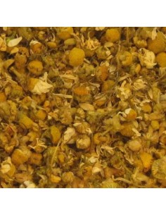 Camomille pour infusion