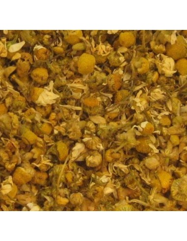 Flor de camamilla seca