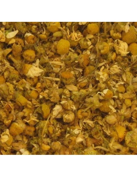 Camomille pour infusion