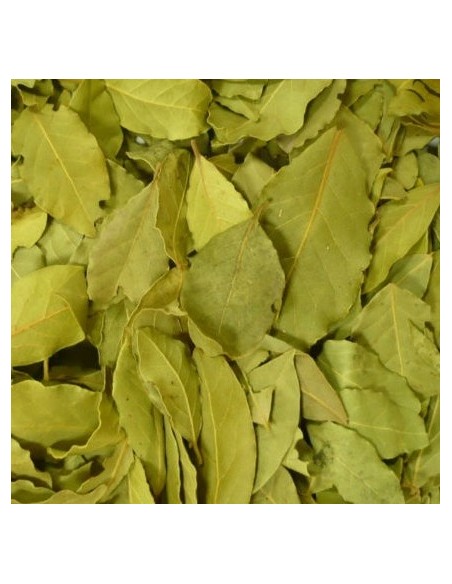 Hoja de laurel