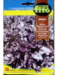 Semilla de albahaca morada