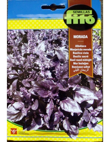 Semente de manjericão em Germigarden