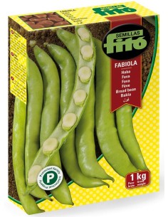 Semente de fava Fabiola (tipo Aguadulce)