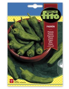 Semilla de pimiento padron