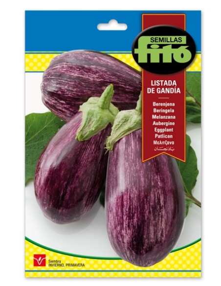 Llavor hortícola Albergínia llarga negra