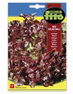 Semilla Lechuga hoja de Roble (Red Salad Ball)