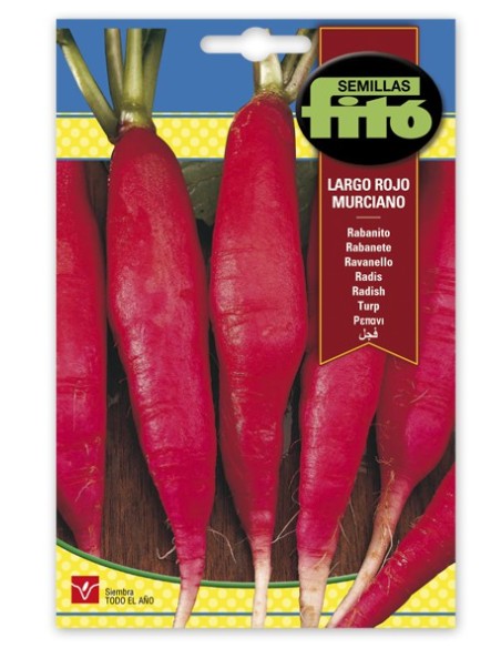 Semente de rabanete murciano vermelho longo