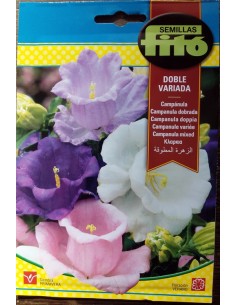Llavor Campanula doble variada