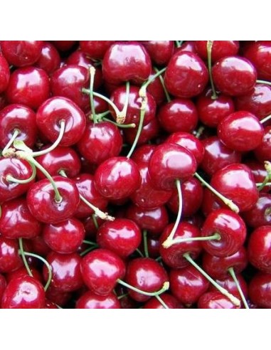 Cherry Lapins
