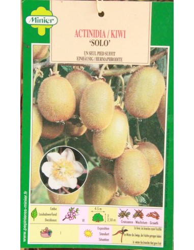 Kiwi autofèrtil (test 2,5 litres)