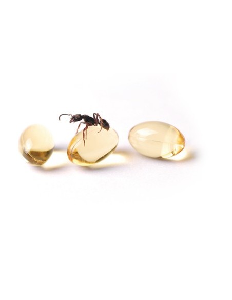 Gelstop Hormigas (gel con aplicador 15 gr)