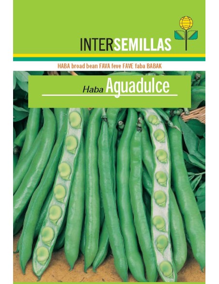 Llavor de fava Mutxamel selecció extra precoç