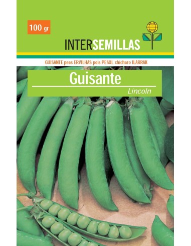 Llavor hortícola pèsol Lincoln (250 gr)