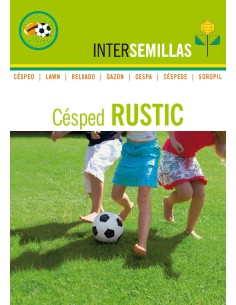 Semilla Césped Rustic